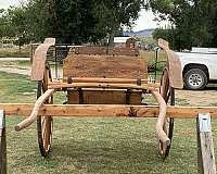 tack-supplies-in-lander-wy