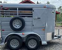 rear-loading-spare-tire-trailer-in-montrose-co