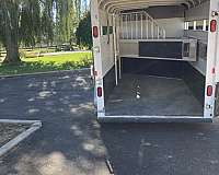 white-horse-trailer