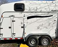 white-2006-horse-trailer