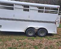 bumper-pull-trailer-in-richburg-sc