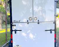 bumper-pull-trailer