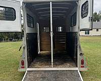 escape-door-trailer-in-dowling-mi