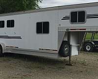 white-horse-trailer