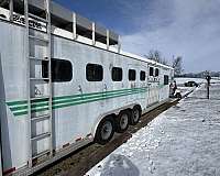 1999-horse-trailer