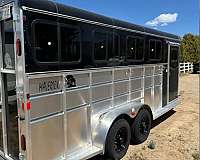 spare-tire-trailer-in-washoe-valley-nv