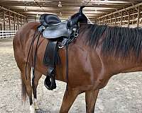 black-circle-y-saddle