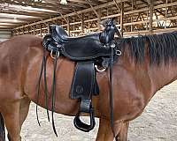 black-circle-y-western-saddle