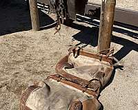 pack-saddle