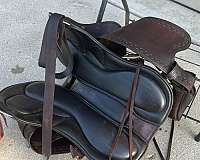 a0809-gaited-saddle