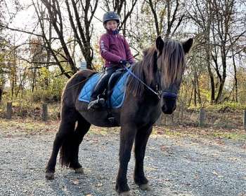 OnIce Horse Farm (Ontario Icelandic Horse Farm) - Guess who's back
