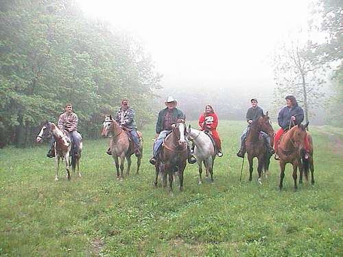 horses for texas ag exemption