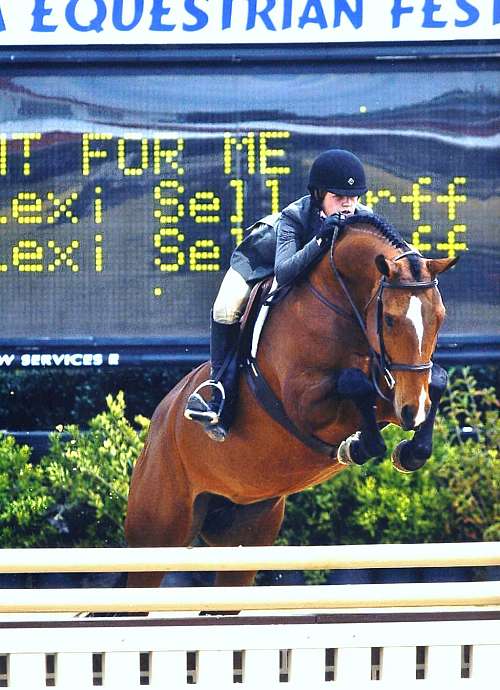 Stone Horse Farm on EquineNow