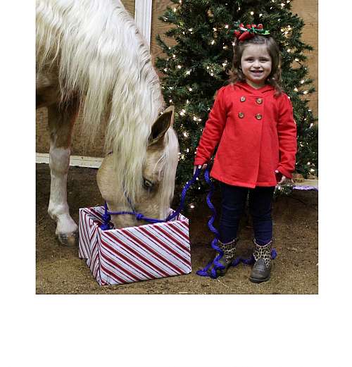 Adams Horse and Mule Co. on EquineNow