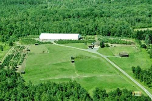 what is the temperature in queensville ontario