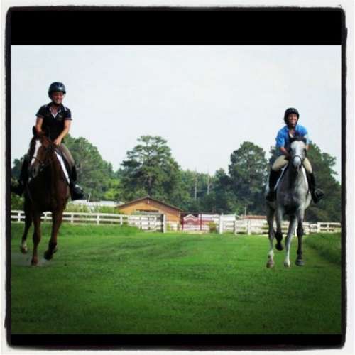 Field Of Dreams Farm on EquineNow