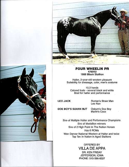 Villa de Appa on EquineNow