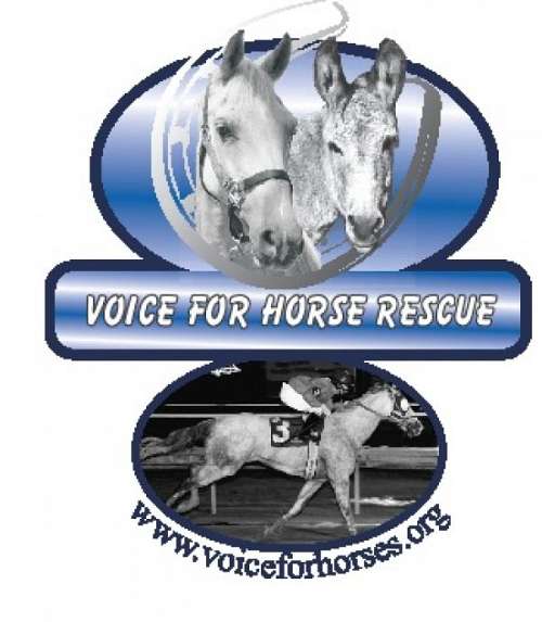 Voice For Horses Rescue Network on EquineNow