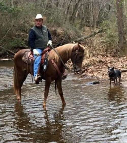 CircleMRanch on EquineNow