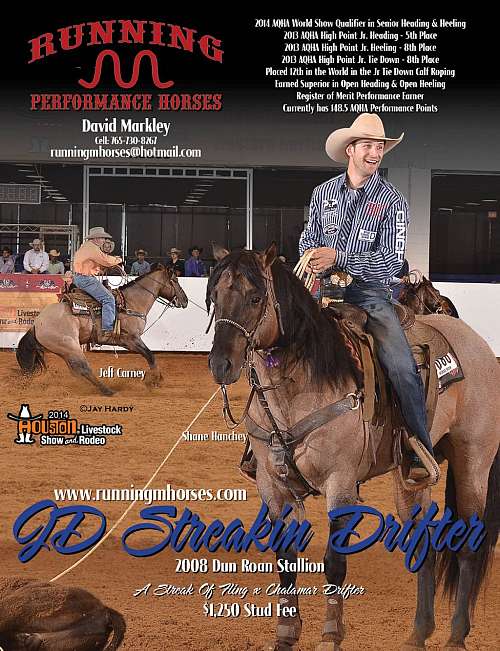 Running M Performance Horses on EquineNow