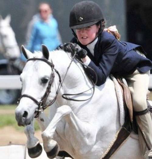 Hunter Ridge on EquineNow