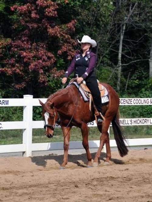 Salt Fork Stables on EquineNow