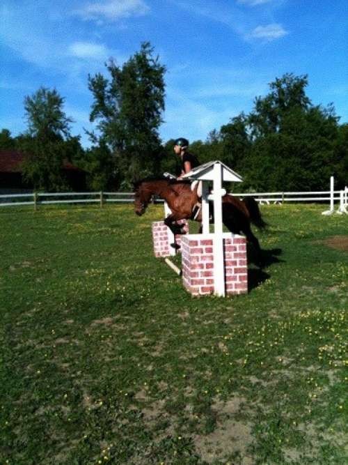 Bunker Hill Equestrian Center on EquineNow