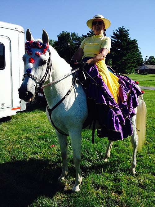 Greystone Farm on EquineNow