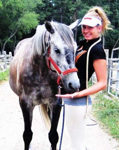 Tara K Equestrian on EquineNow