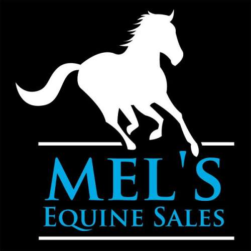 Mel's Equine Sales on EquineNow
