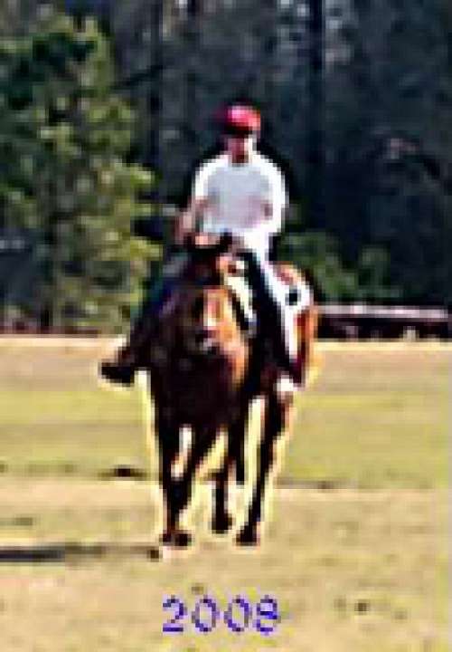 Blue Ribbon Quarter Horse Farm on EquineNow