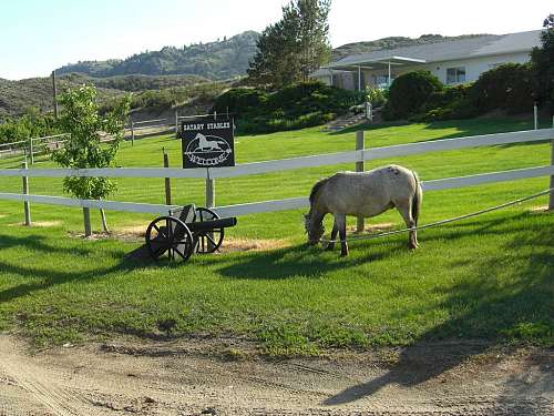 Satary Stables Horse Boarding on EquineNow