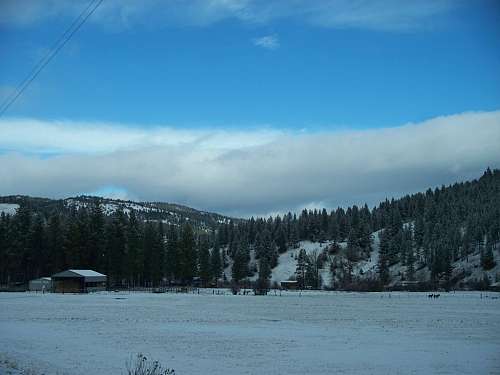 FRYING PAN RANCH on EquineNow