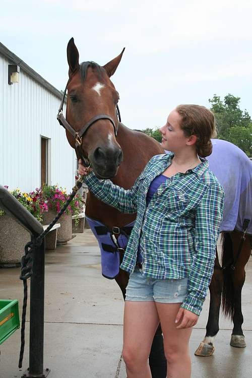 Prairie Star farm on EquineNow