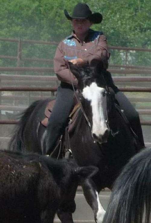 Bieber Performance Horses on EquineNow