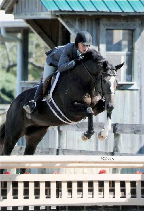 Jubilee Farm on EquineNow
