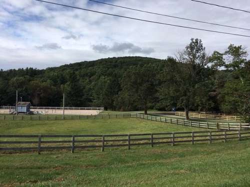 Pleasant Ridge Farm LLC on EquineNow