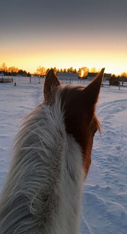 Stonehaven stables on EquineNow