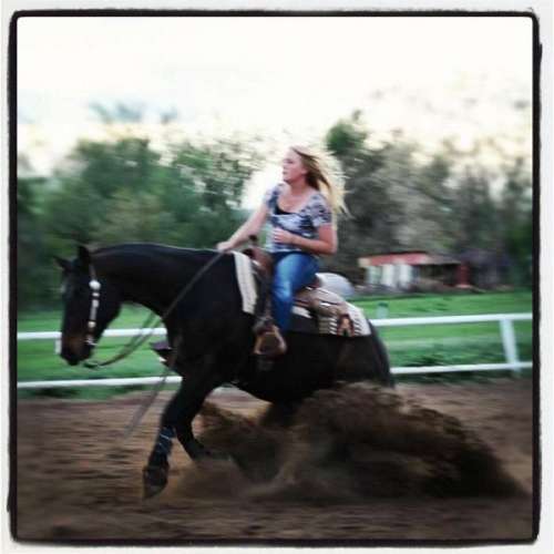 LazEAcres Horse Bording Littleton on EquineNow