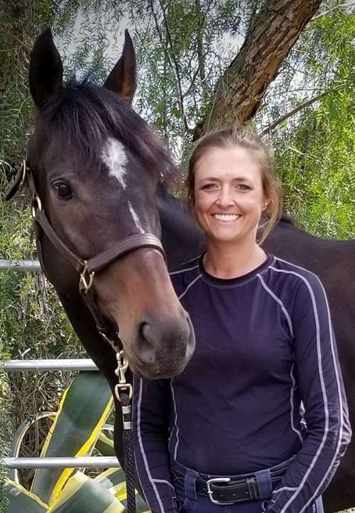 All Purpose Equine on EquineNow