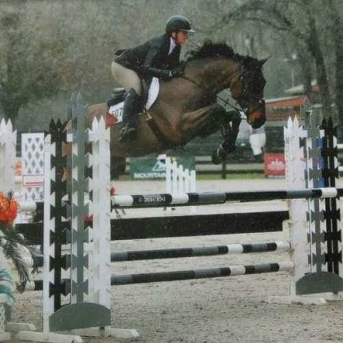 Willow Springs Equestrian on EquineNow