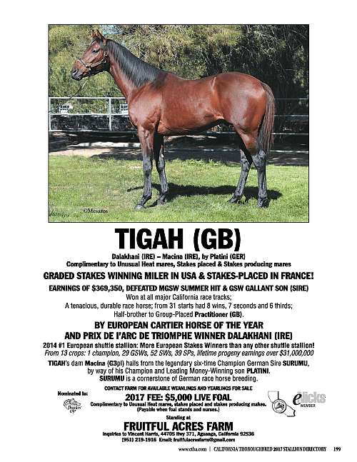 FRUITFUL ACRES FARM BLOODSTOCK on EquineNow