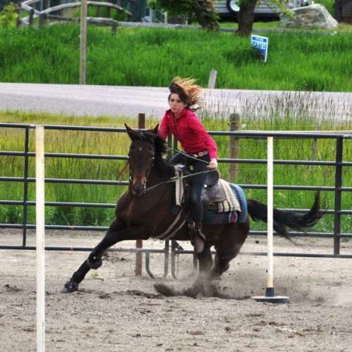 River Bottom Ranch on EquineNow