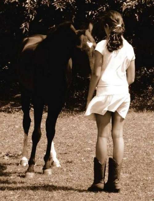 Hackney's Hope Farm on EquineNow