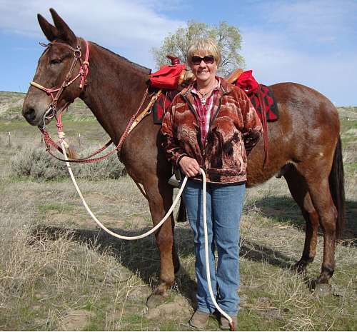 Double Driftin HH Ranch on EquineNow