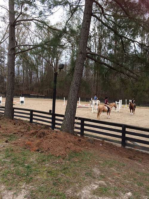 Rivendell Farm on EquineNow