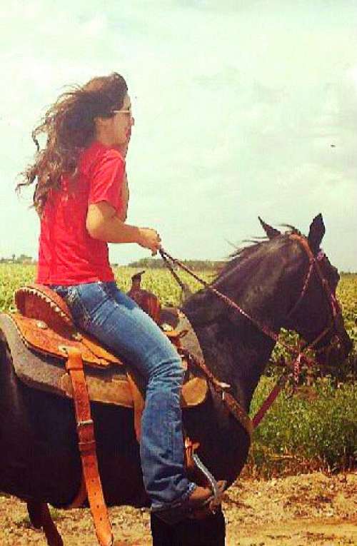 Hernandez farm on EquineNow