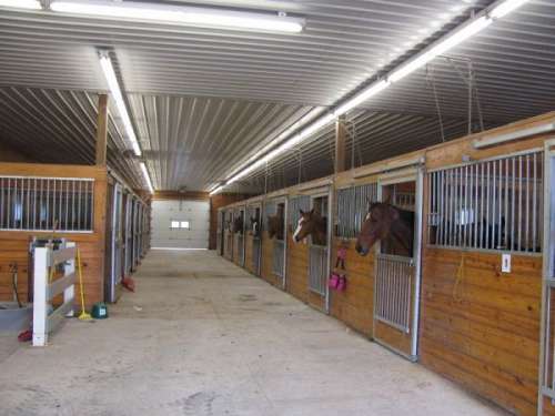 Dover Stables on EquineNow