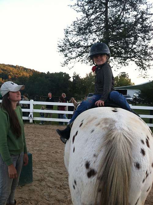 Circle K Horse Pavilion on EquineNow