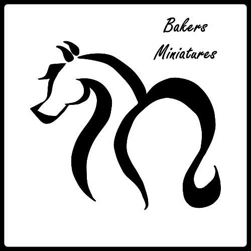 Bakers Miniature Horse Farm on EquineNow